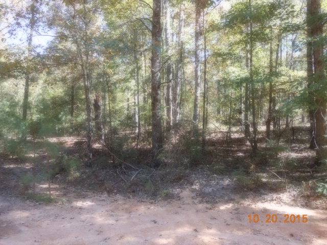 3873 Rowell Road Fort Valley, GA 31030 - Photo 6 of 6 a view of forest