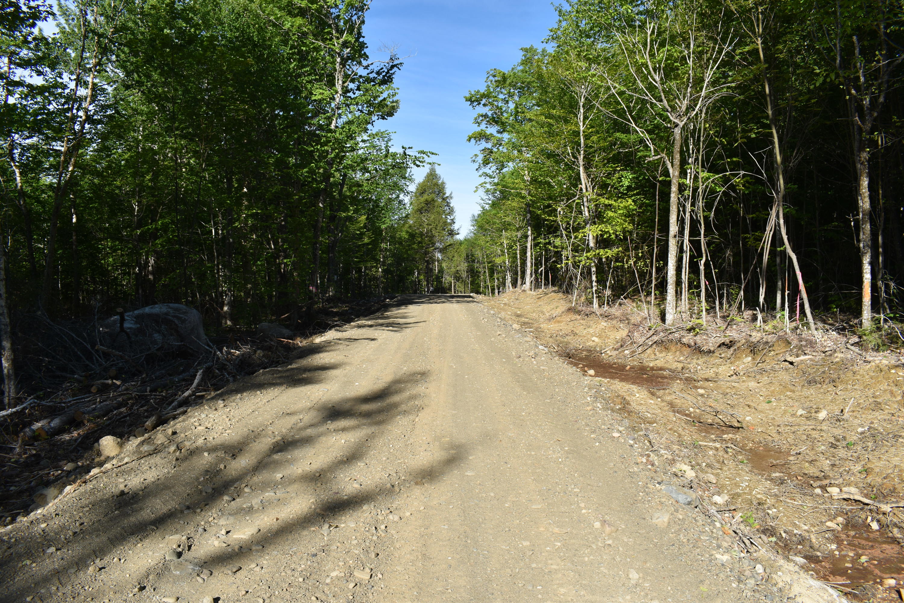 Lot 1-b-9 Lot 1-b-9 Road Weston, ME 04424 - Photo 20 of 22 DSC_0182