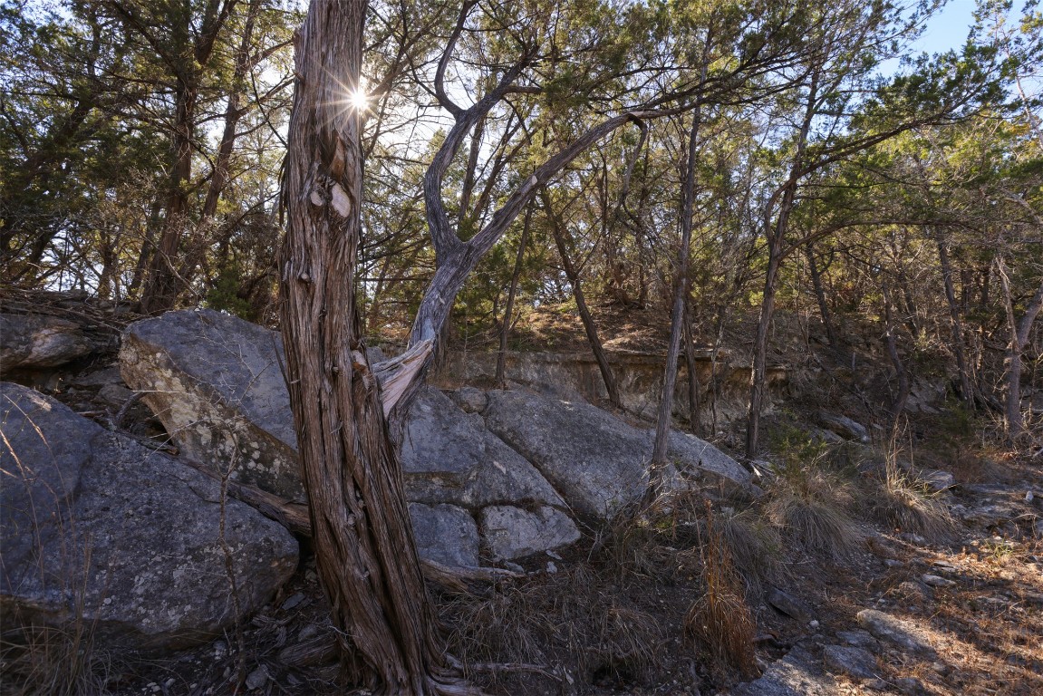 19631 Ranch Road 12 Wimberley, TX 78676 - Photo 12 of 28