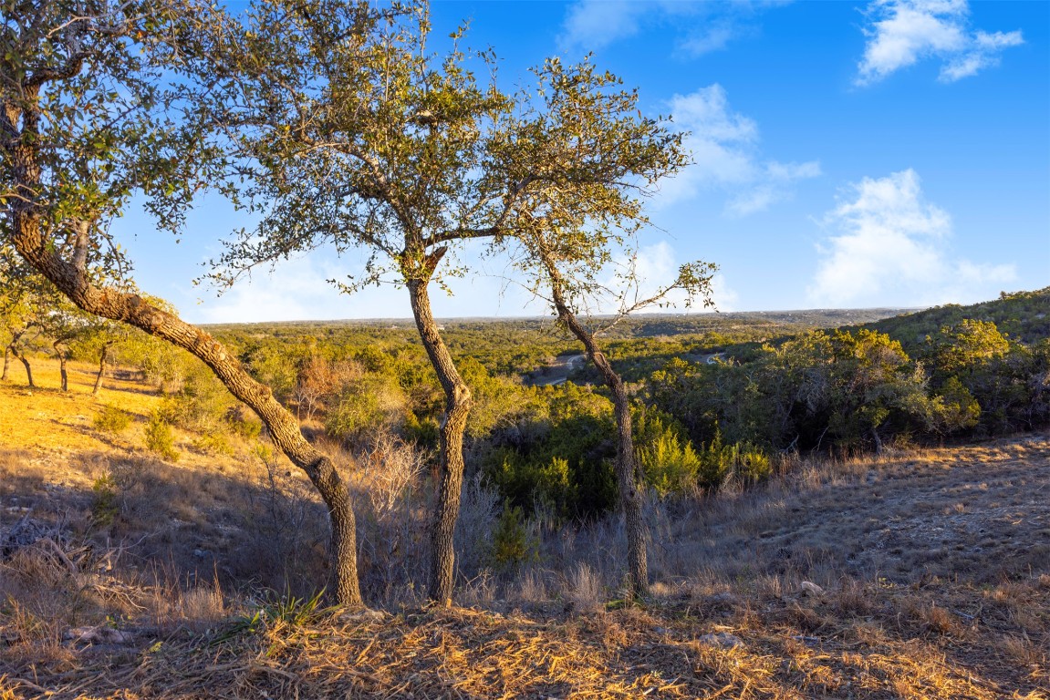 19631 Ranch Road 12 Wimberley, TX 78676 - Photo 7 of 28