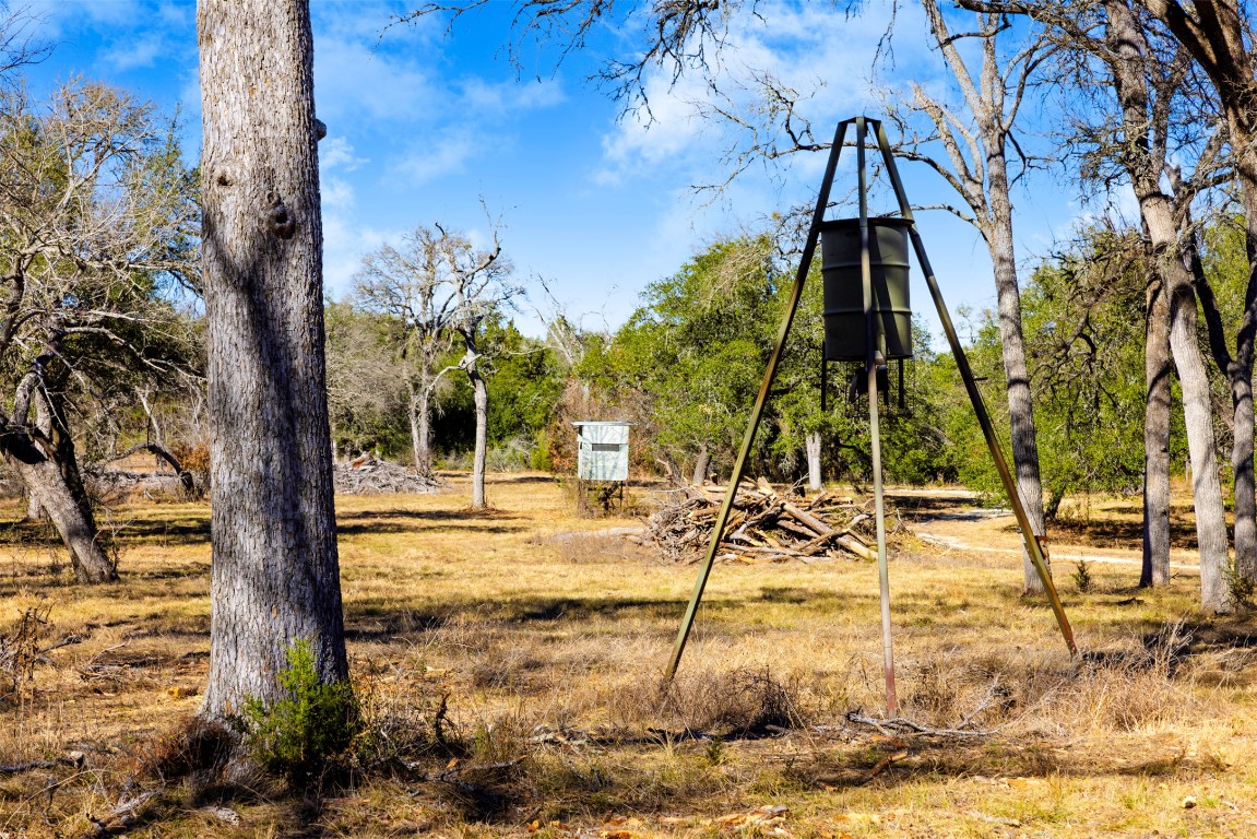 19631 Ranch Road 12 Wimberley, TX 78676 - Photo 9 of 28