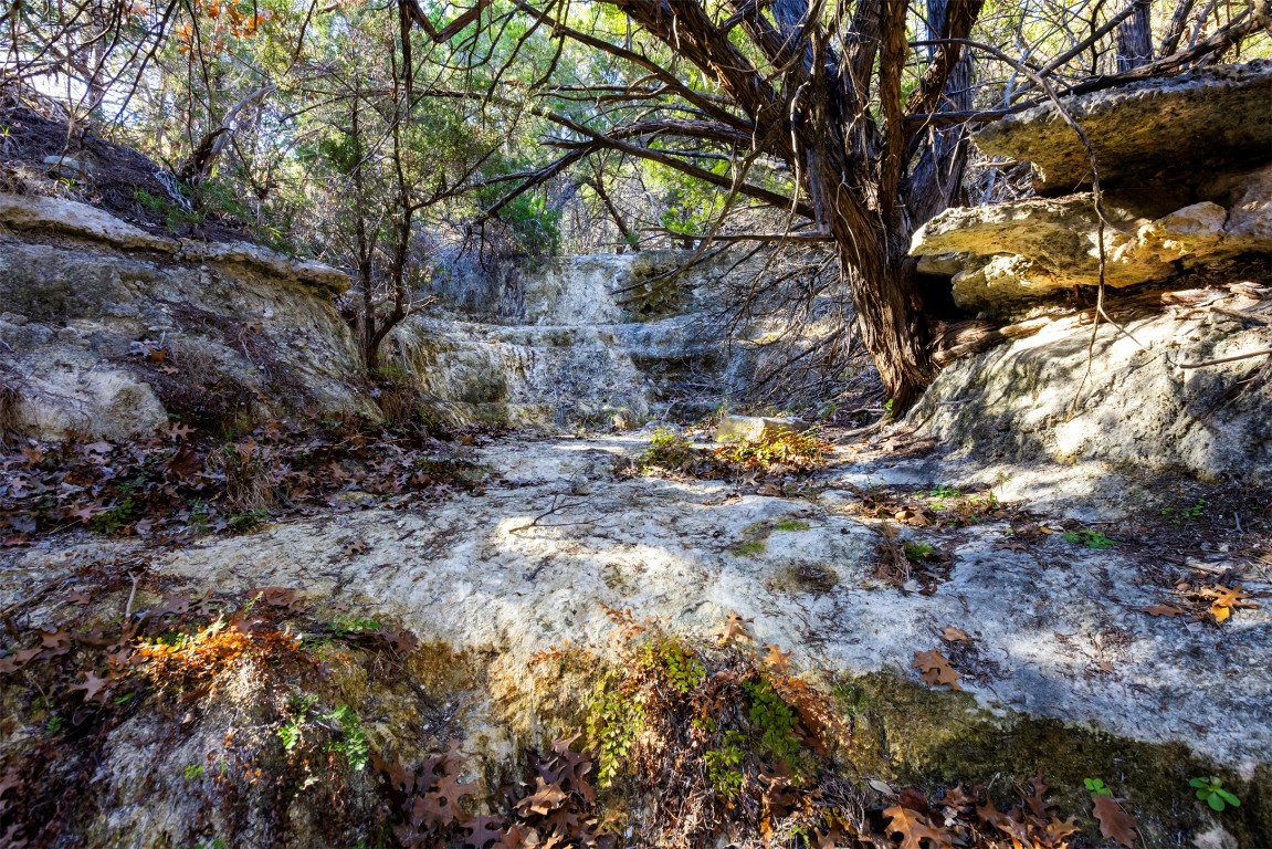 19631 Ranch Road 12 Wimberley, TX 78676 - Photo 10 of 28
