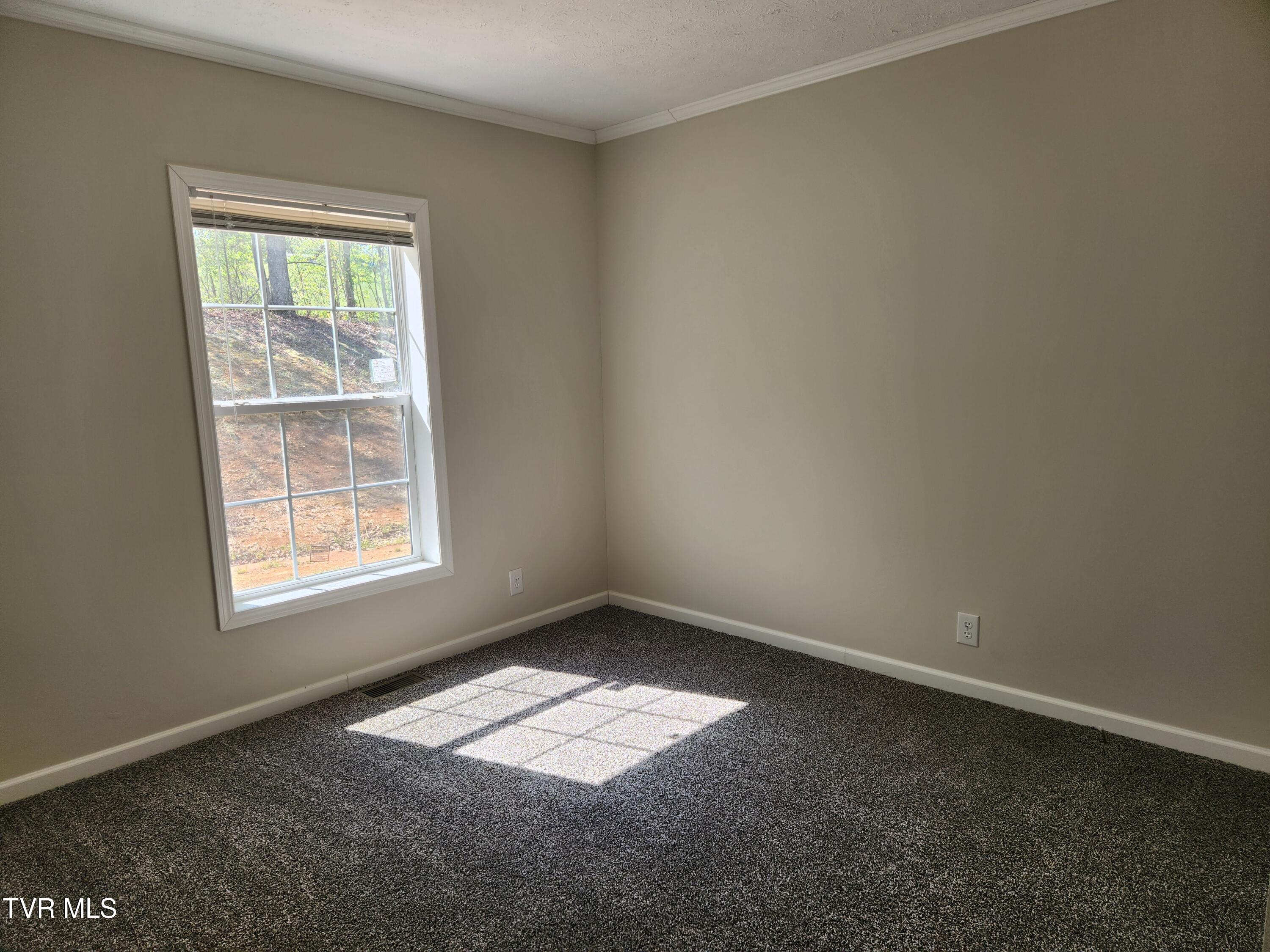 8460 Reedy Creek Road Bristol, VA 24202 - Photo 13 of 19 20260421_110226 (2)