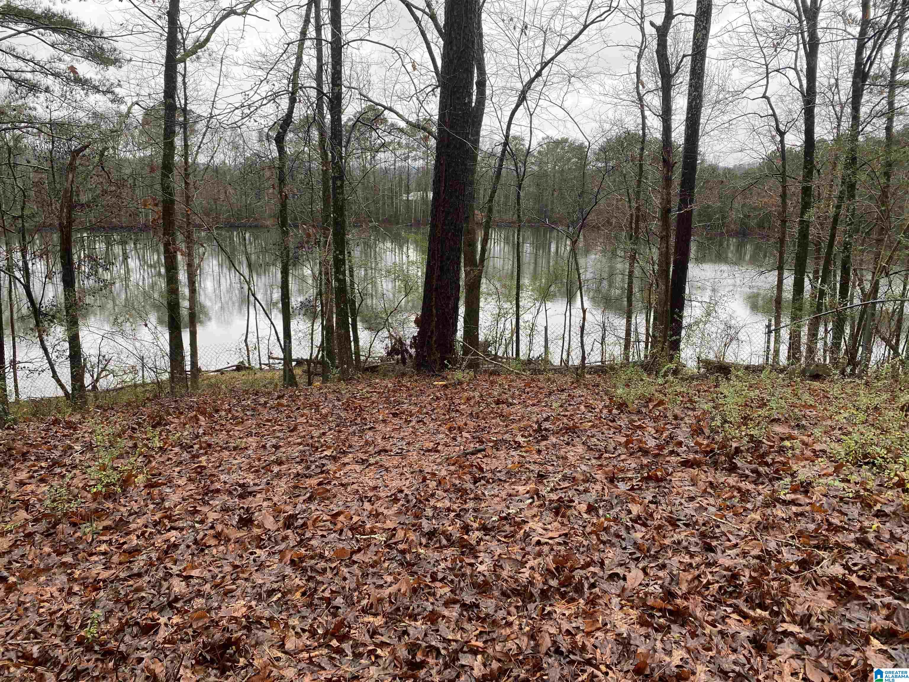4402 Camp Coleman Road Trussville, AL 35173 - Photo 2 of 31