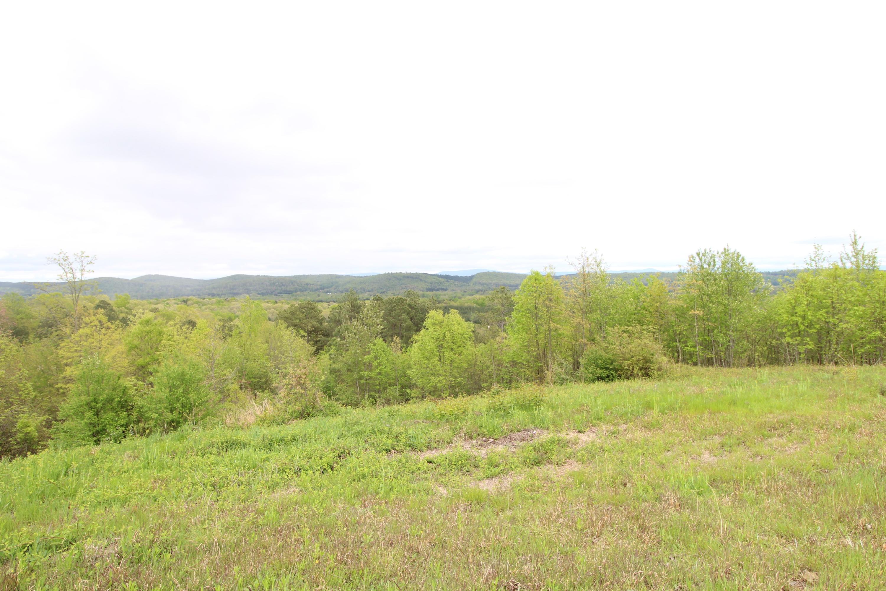 2 Northwest Van Davis Road Charleston, TN 37310 - Photo 1 of 5 IMG_0413