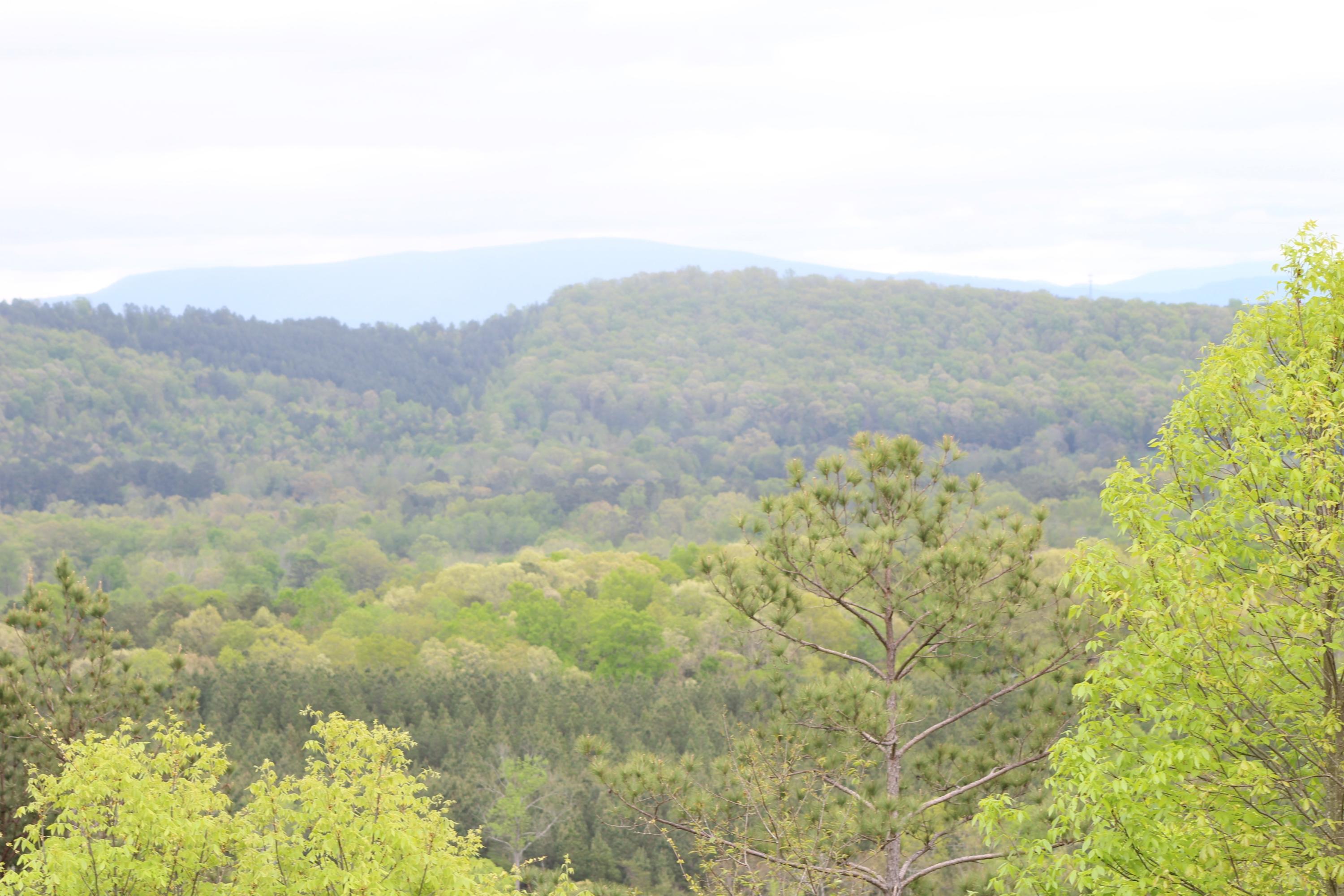 2 Northwest Van Davis Road Charleston, TN 37310 - Photo 2 of 5 IMG_0414