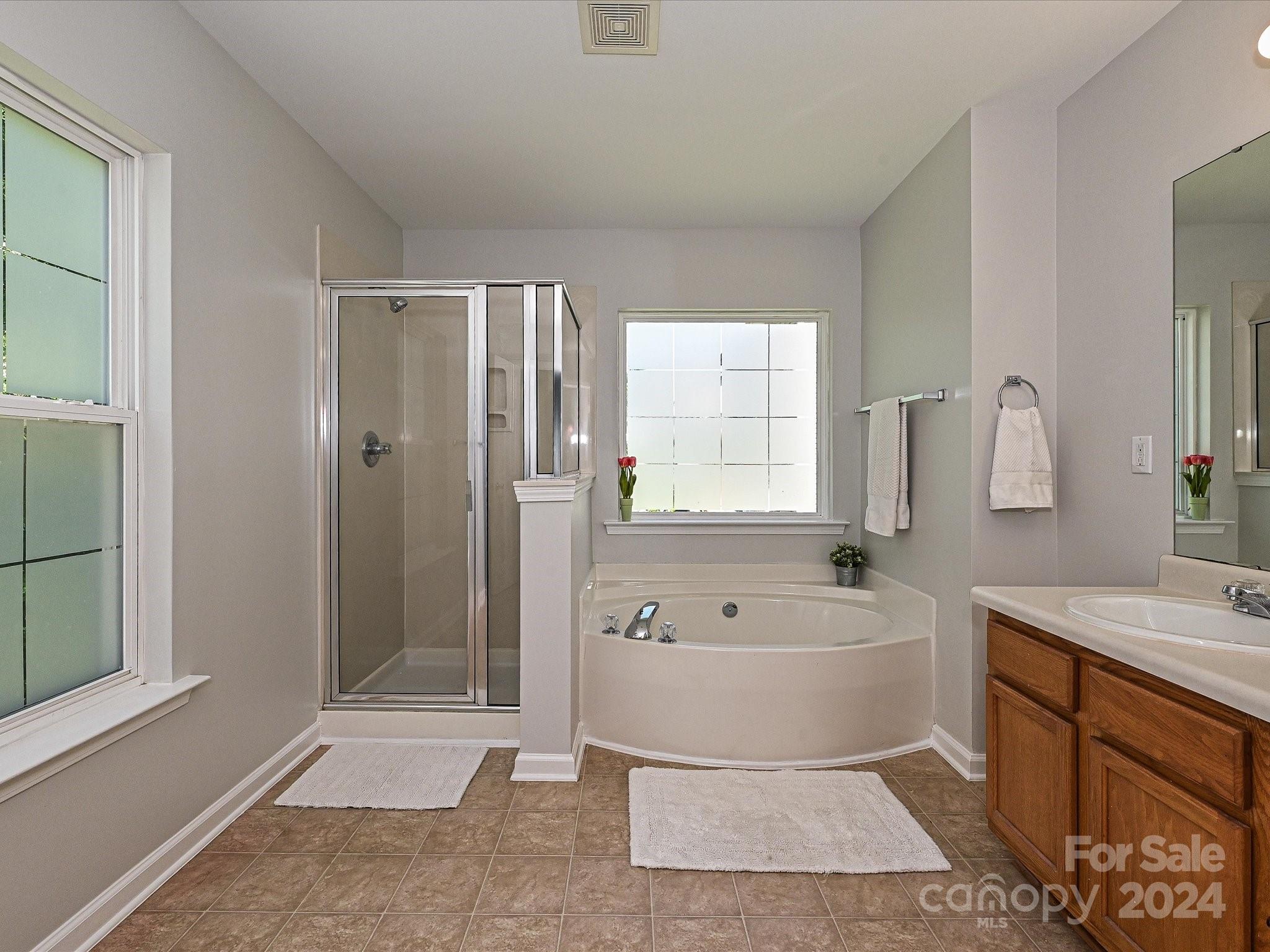 796 Ivy Trail Way Fort Mill, SC 29715 - Photo 26 of 39 a spacious bathroom with a tub shower sink and mirror
