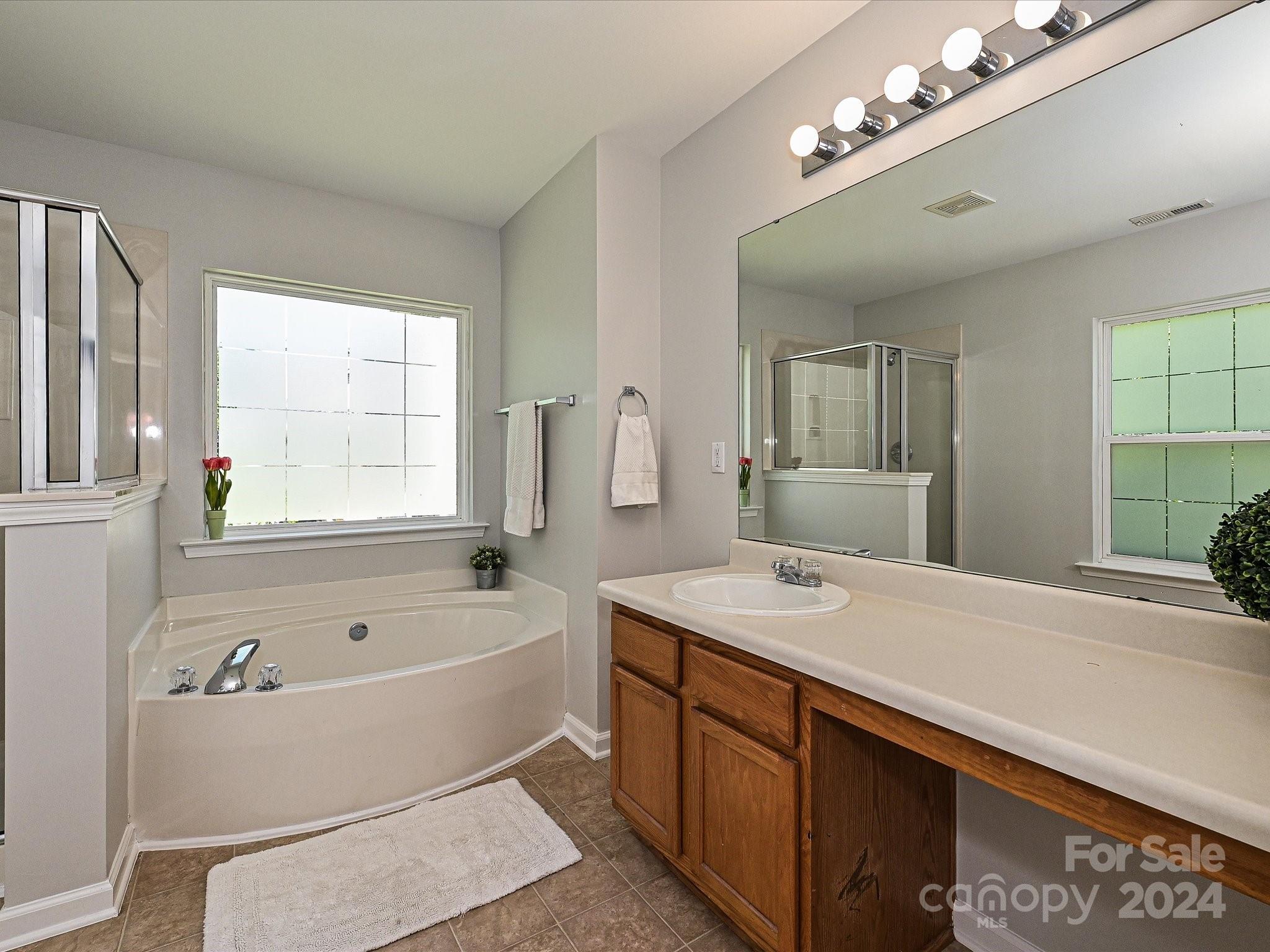 796 Ivy Trail Way Fort Mill, SC 29715 - Photo 27 of 39 a bath room with a sink tub and a mirror