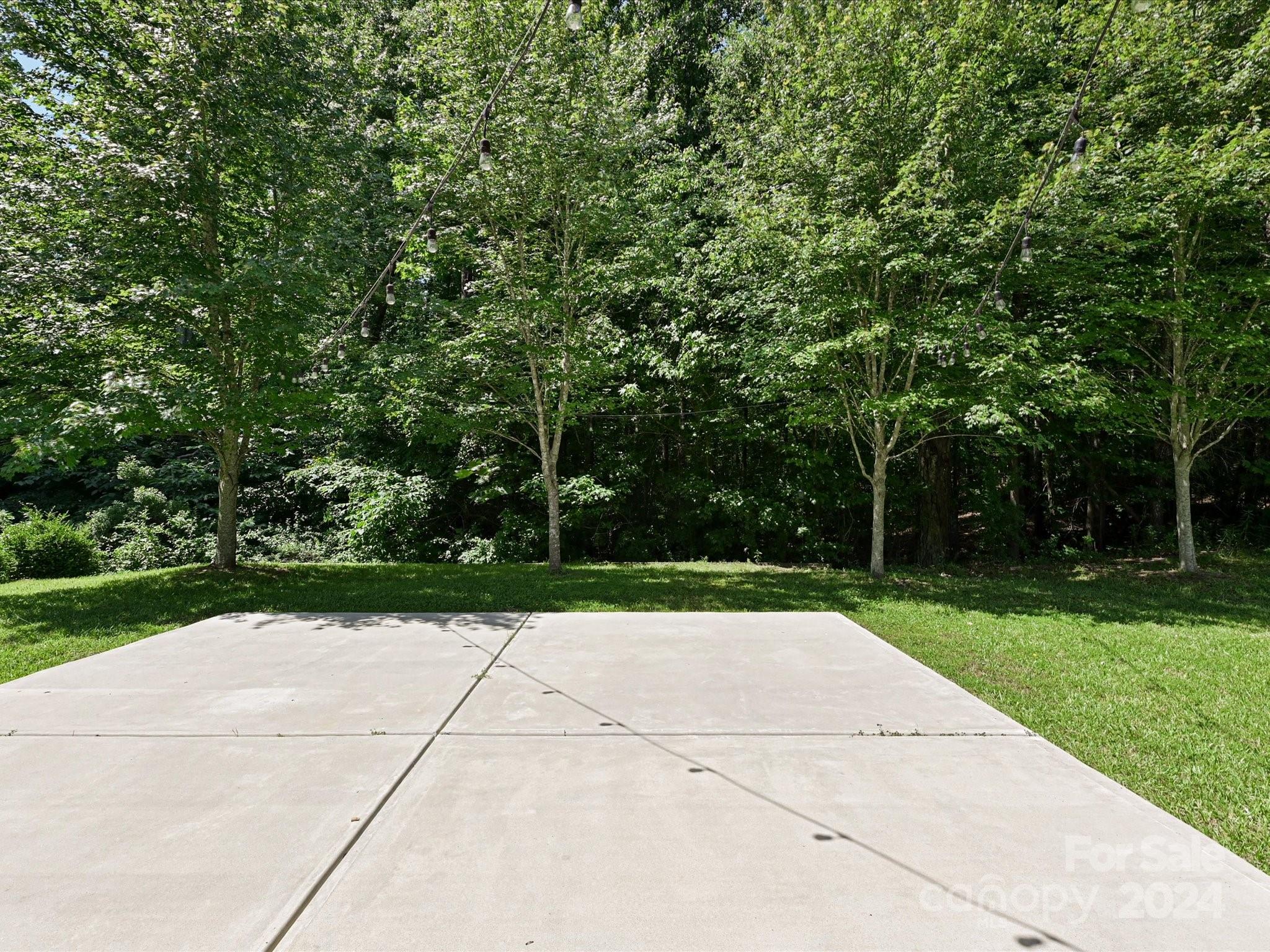 796 Ivy Trail Way Fort Mill, SC 29715 - Photo 35 of 39 a view of backyard with green space