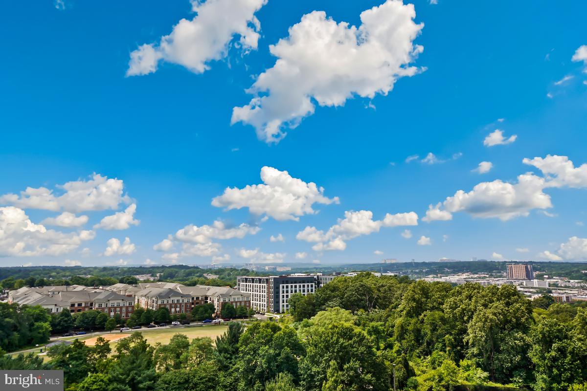5902 Mt Eagle Drive, Unit 1503 Alexandria, VA 22303 - Photo 2 of 30 15th Floor/180-Degrees - As Far as The Eye Can See