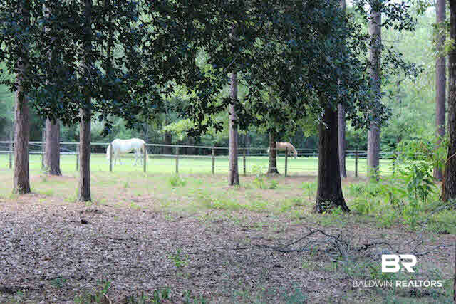 16353 Durban Fork Road Bay Minette, AL 36507 - Photo 22 of 29 Back Pasture
