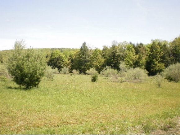 0 Bolton Road Friendsville, PA 18818 - Photo 3 of 6 Gallery Image 3