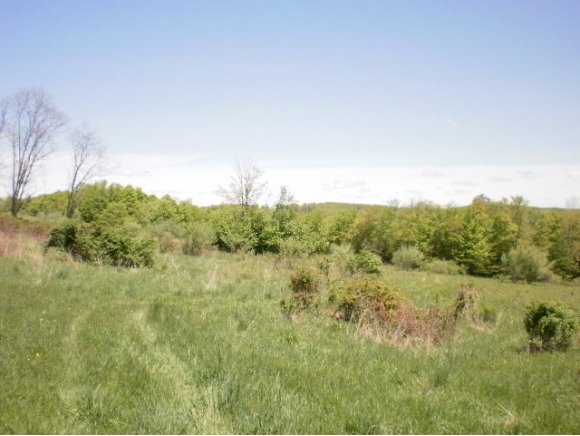 0 Bolton Road Friendsville, PA 18818 - Photo 4 of 6 Gallery Image 4