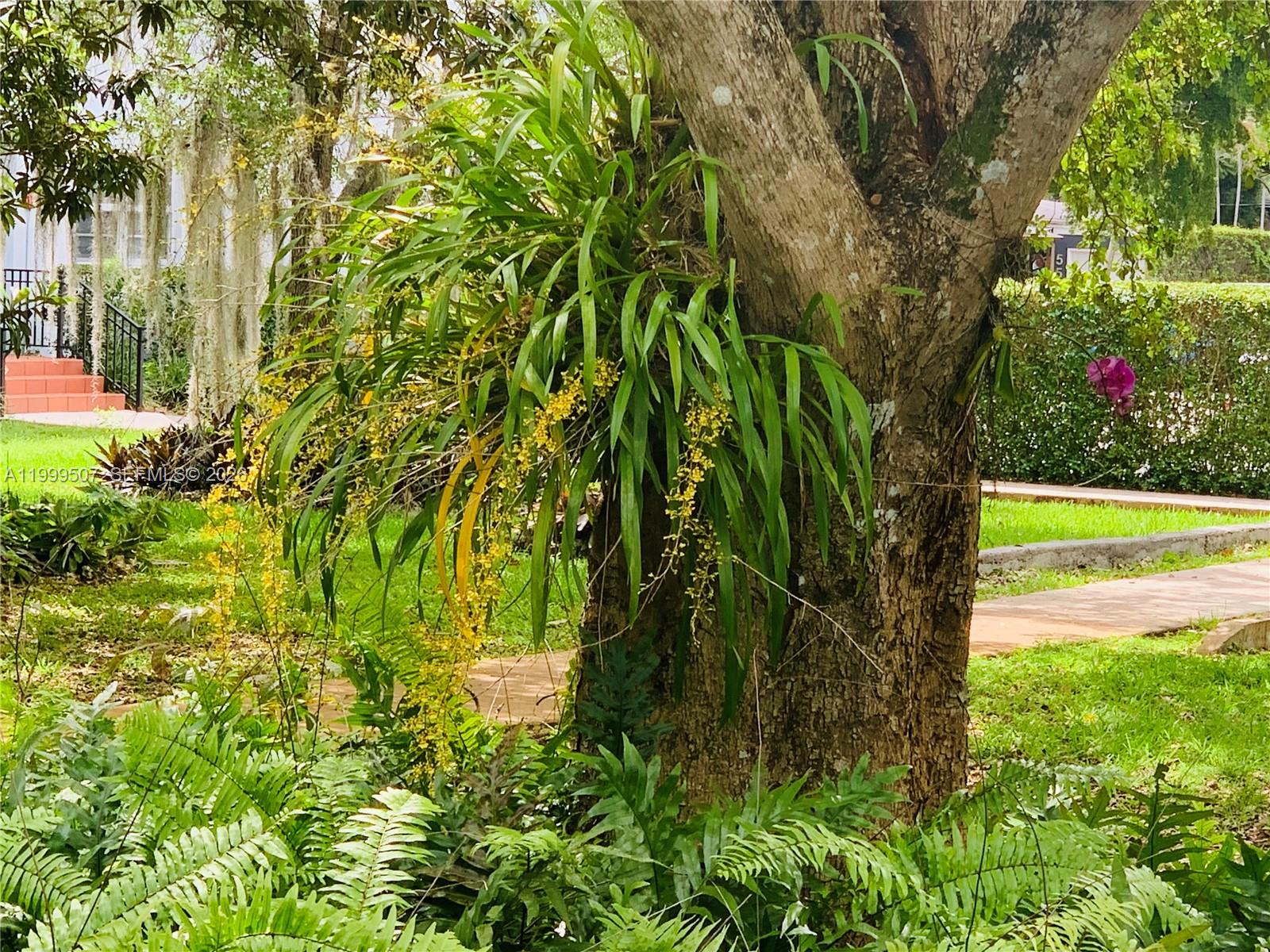 5605 Southwest 80th Street, Unit 97A Miami, FL 33143 - Photo 25 of 25 a view of yard with fountain in front of house