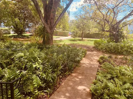 a view of yard with trees