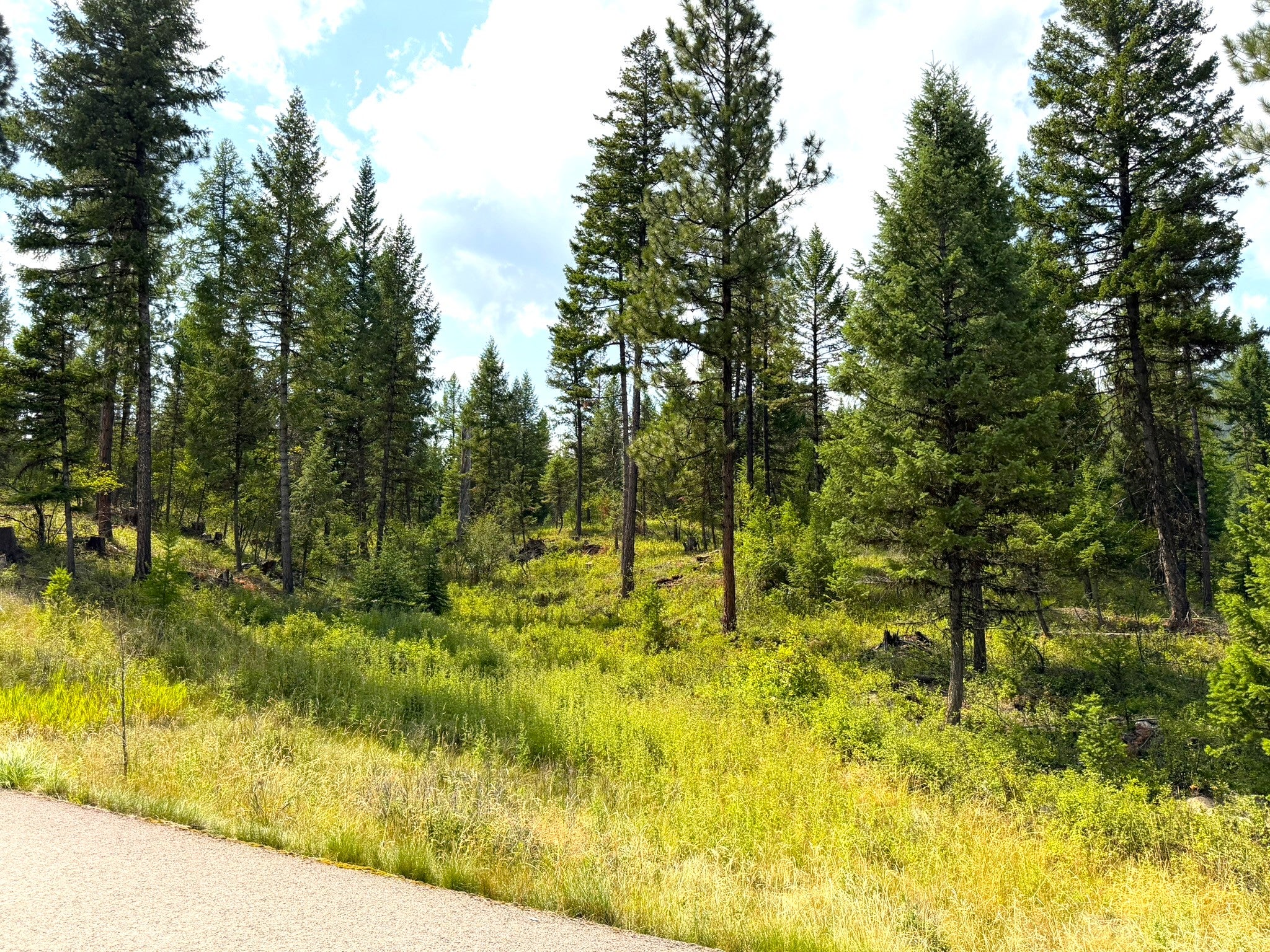 422 Haskill Rnch Road, Unit LOT30 Kila, MT 59920 - Photo 1 of 11 Gallery Image 1