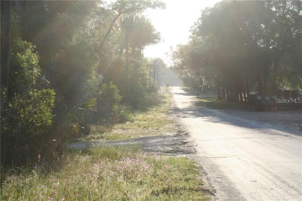 4541 Southeast 95th Street Ocala, FL 34480 - Photo 3 of 3 a view of a yard
