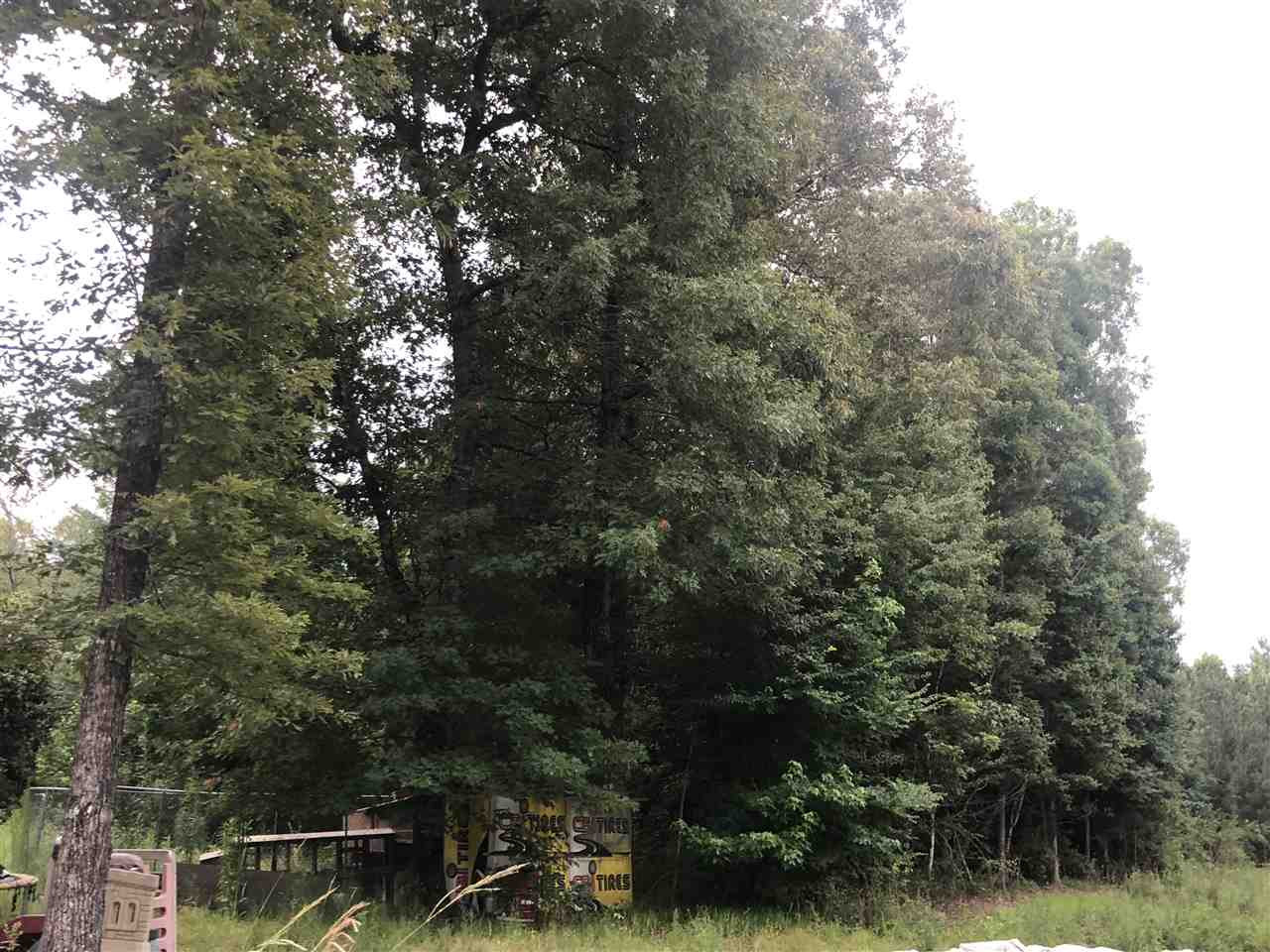 138 Bridges Road Florence, MS 39073 - Photo 3 of 9 Photo 3