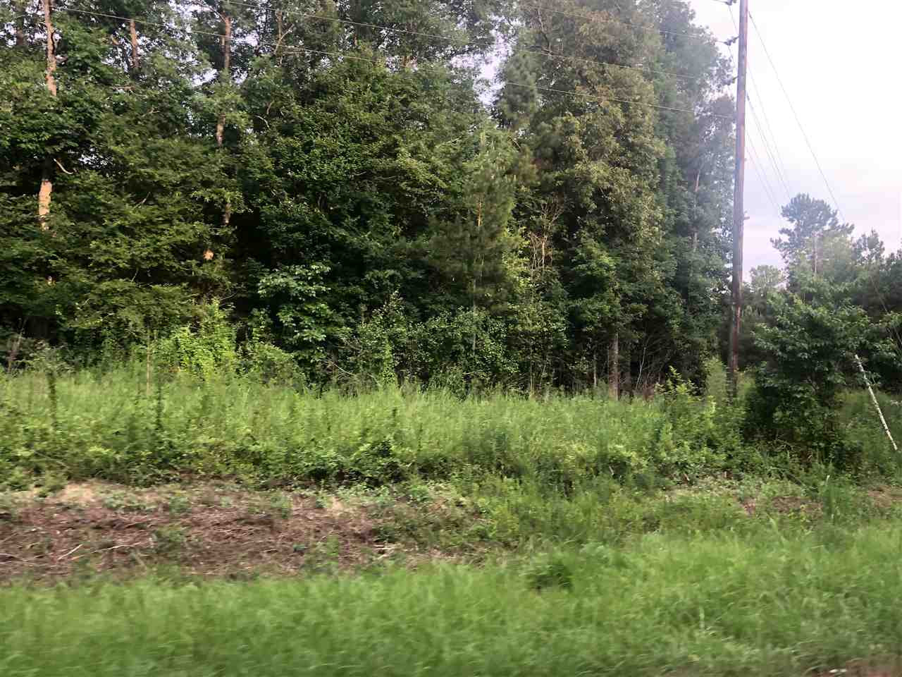 138 Bridges Road Florence, MS 39073 - Photo 4 of 9 Photo 4