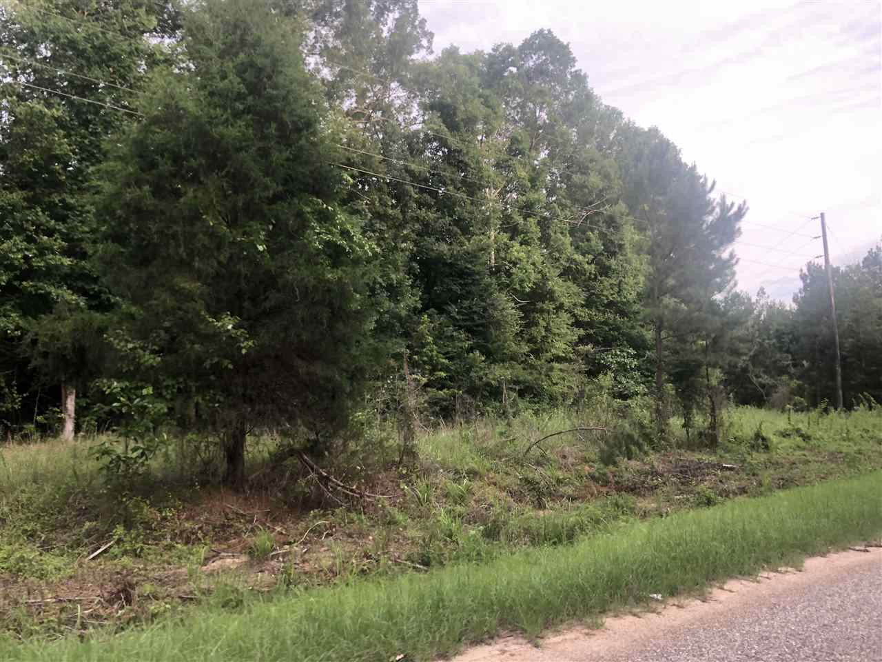 138 Bridges Road Florence, MS 39073 - Photo 5 of 9 Photo 5