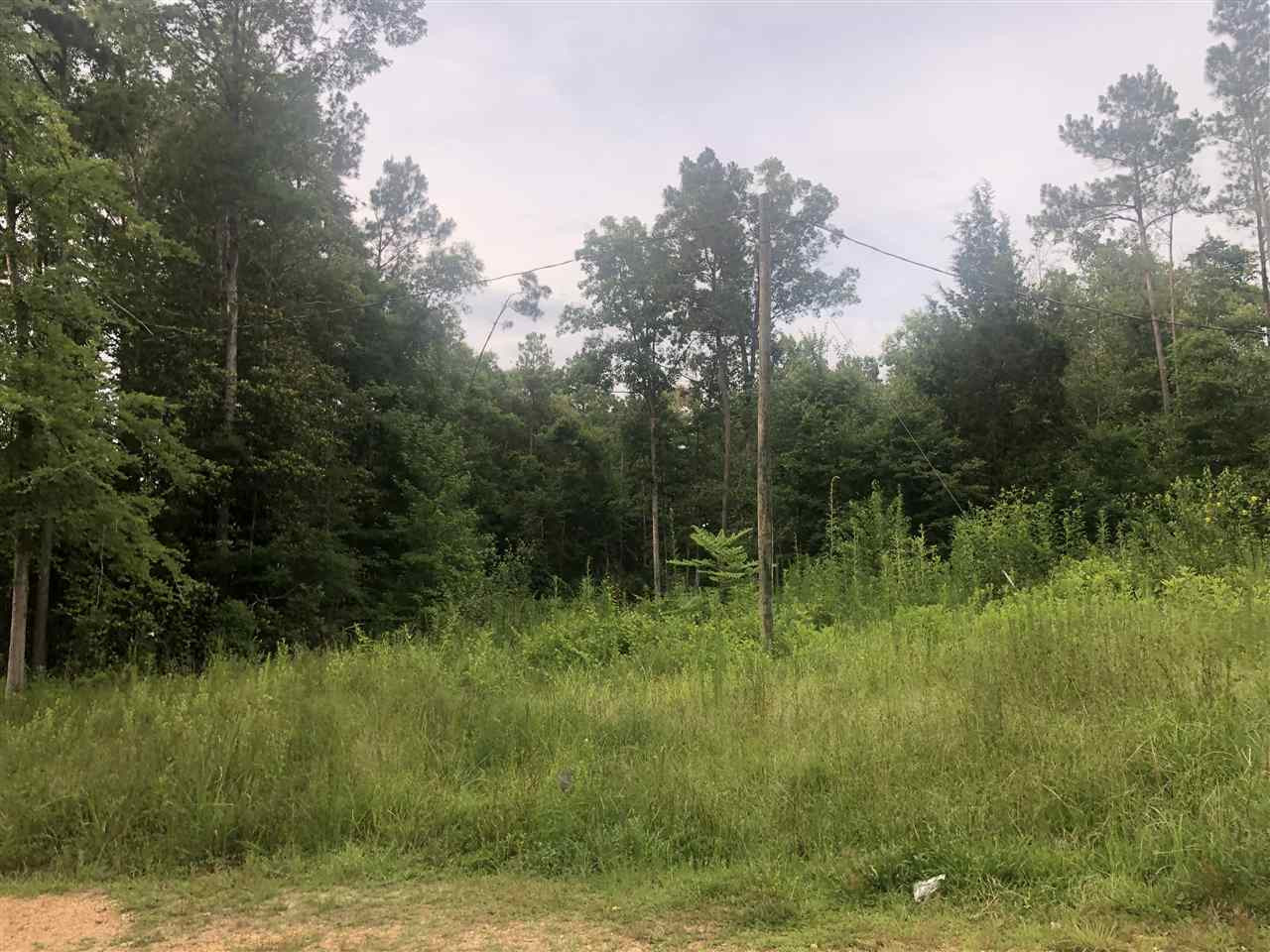 138 Bridges Road Florence, MS 39073 - Photo 6 of 9 Photo 6