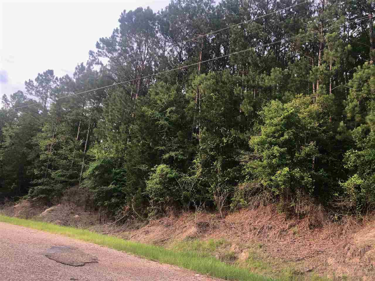 138 Bridges Road Florence, MS 39073 - Photo 7 of 9 Photo 7