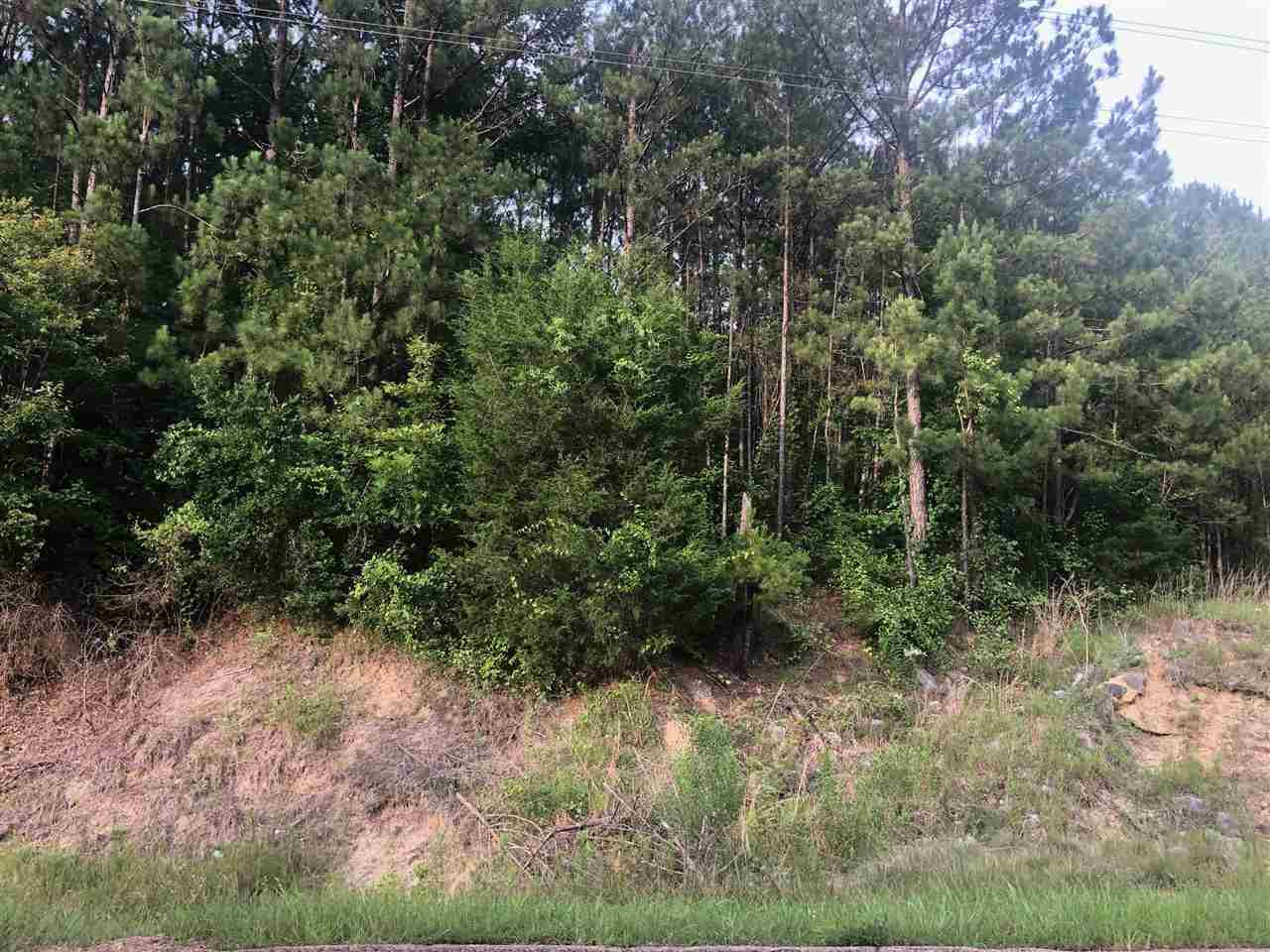 138 Bridges Road Florence, MS 39073 - Photo 8 of 9 Photo 8