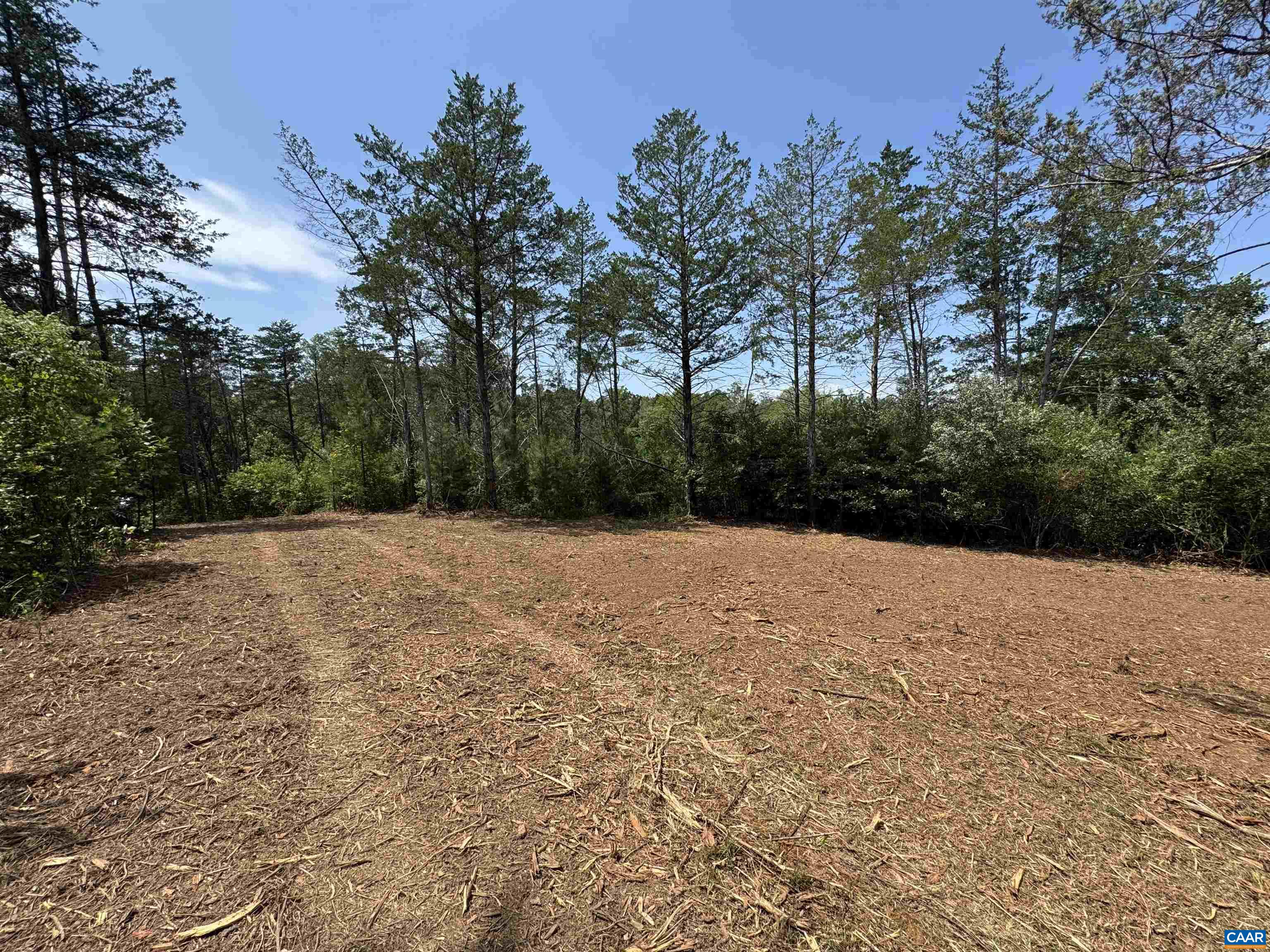 Watt Abbitt Road Appomattox, VA 24522 - Photo 3 of 17 Gallery Image 3