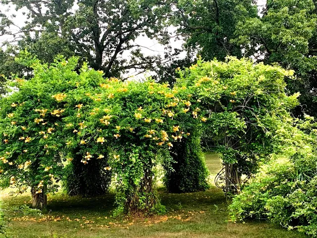 $475,000 | 14359 South Dixie Highway, Monroe, MI 48161