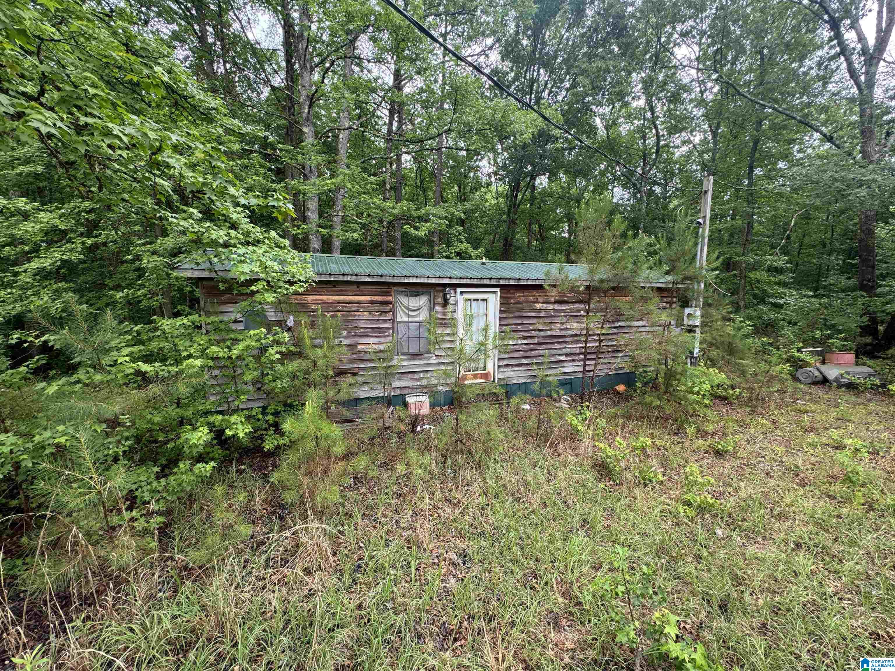 200 Welcome Road Haleyville, AL 35565 - Photo 3 of 6