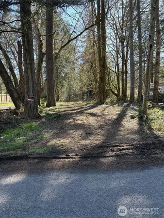 a view of a yard with wooden fence
