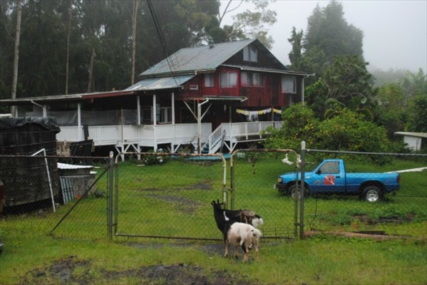 81-2190 Haku Nui Road Captain Cook, HI 96704 - Photo 3 of 19 Gallery Image 3