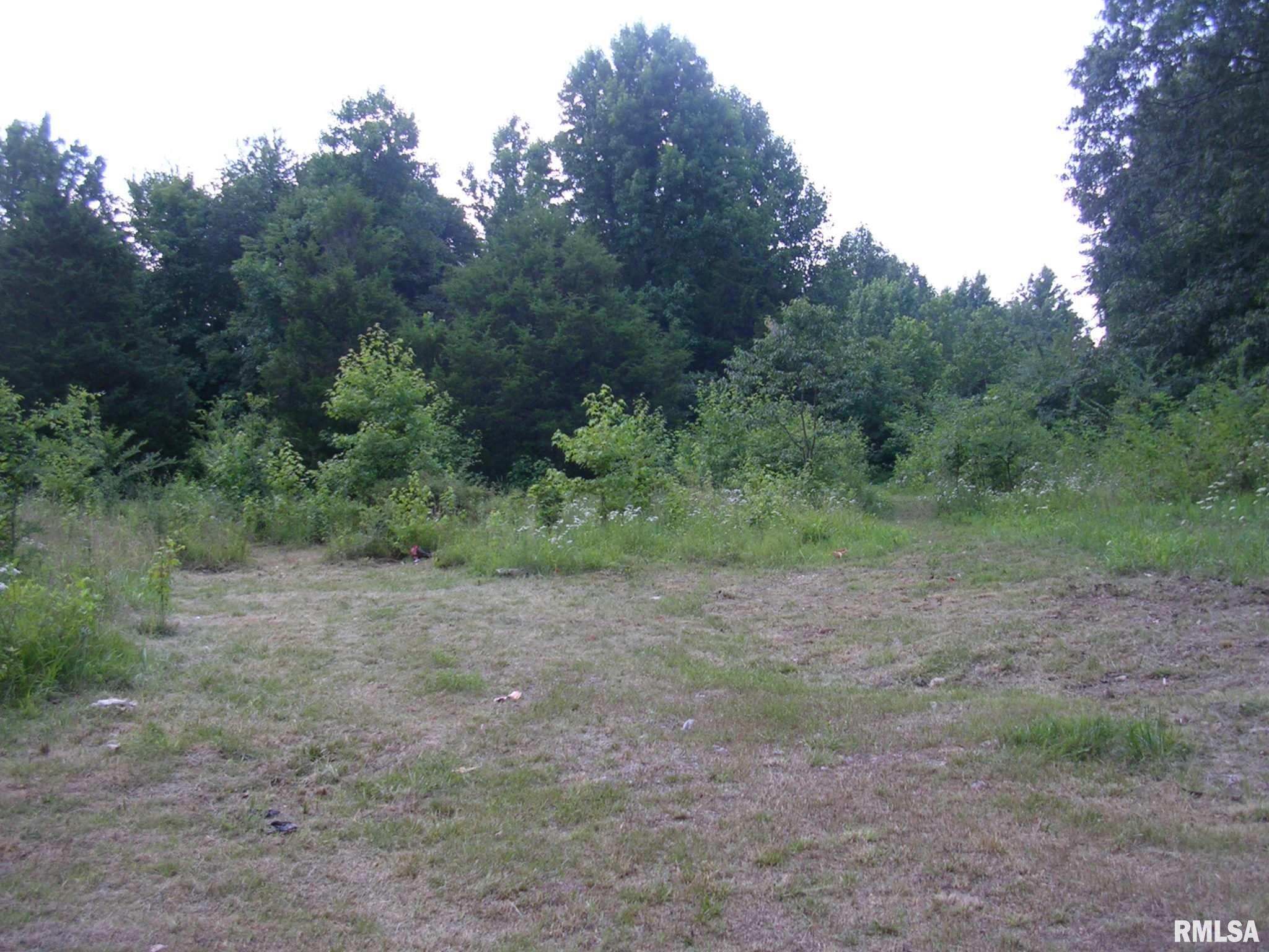 3440 Oak Grove Road Vienna, IL 62995 - Photo 7 of 7