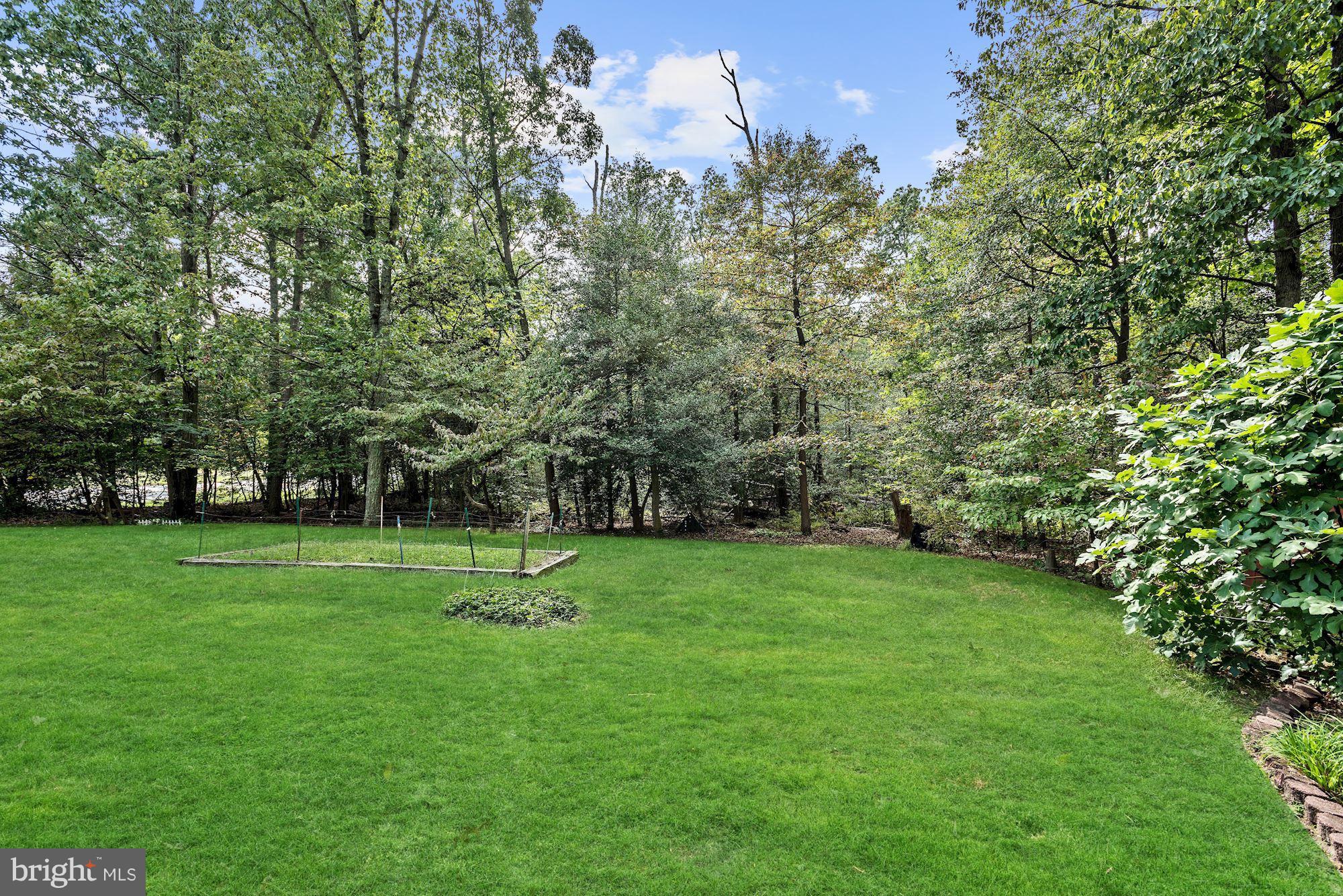 438 Magothy Bridge Road Pasadena, MD 21122 - Photo 25 of 26 Rear Yard