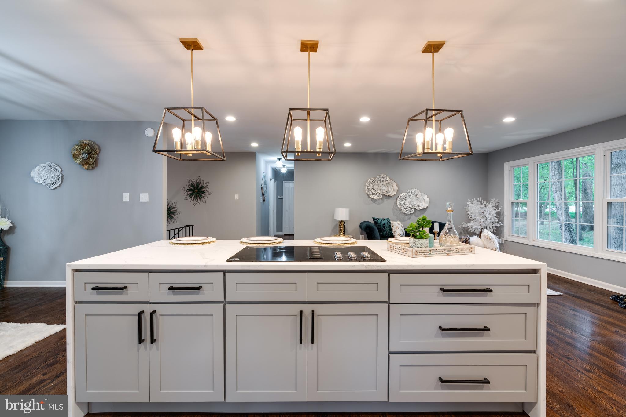 12008 Trotter Lane Reston, VA 20191 - Photo 22 of 76 Breathtaking Custom Designed Kitchen!