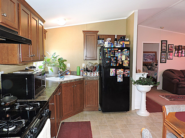 915 North 5000 W Road Hinckley, UT 84635 - Photo 11 of 27 Kitchen featuring wood cabinetry, a double basin sink, and a black propane range