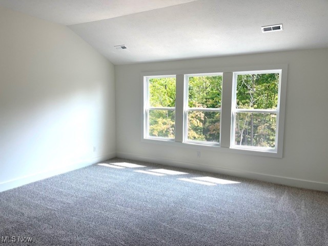 4368 Chaseline Ridge Brunswick, OH 44212 - Photo 12 of 20