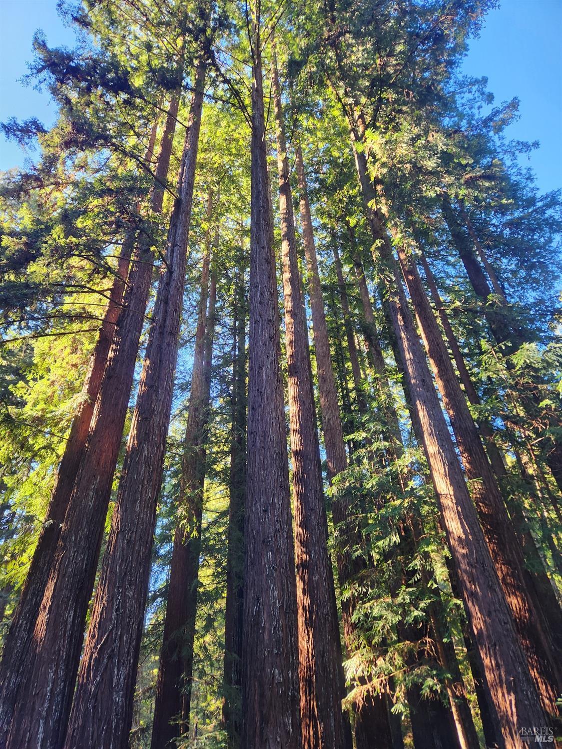 12701 Irmulco Road Willits, CA 95490 - Photo 11 of 18