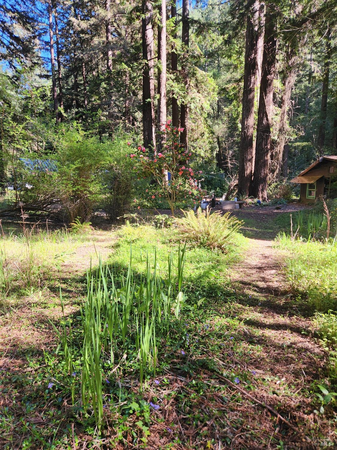 12701 Irmulco Road Willits, CA 95490 - Photo 13 of 18