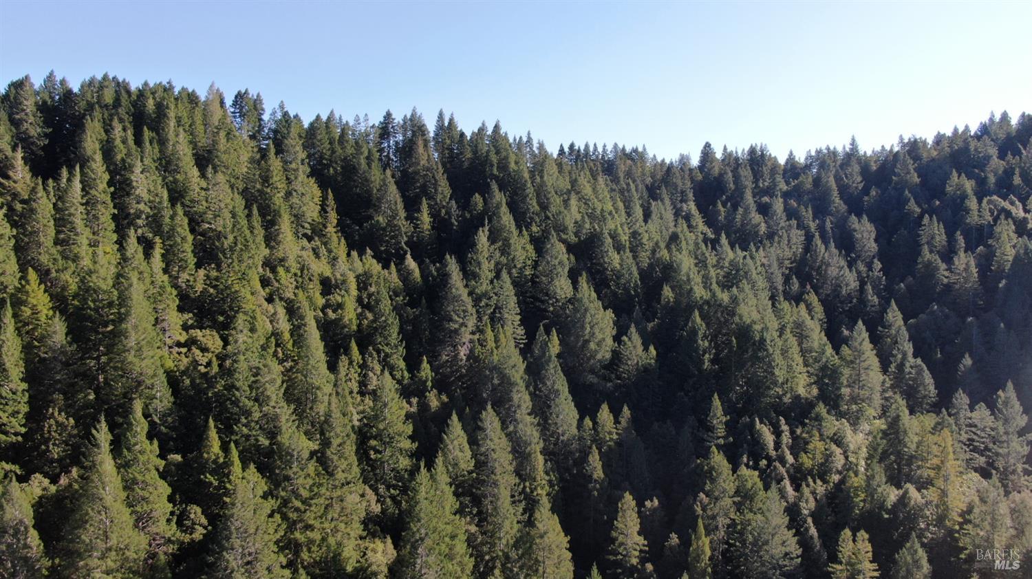 12701 Irmulco Road Willits, CA 95490 - Photo 17 of 18