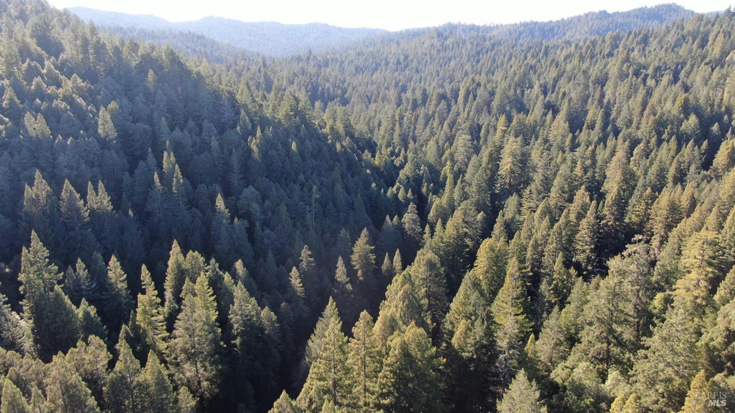 12701 Irmulco Road Willits, CA 95490 - Photo 18 of 18