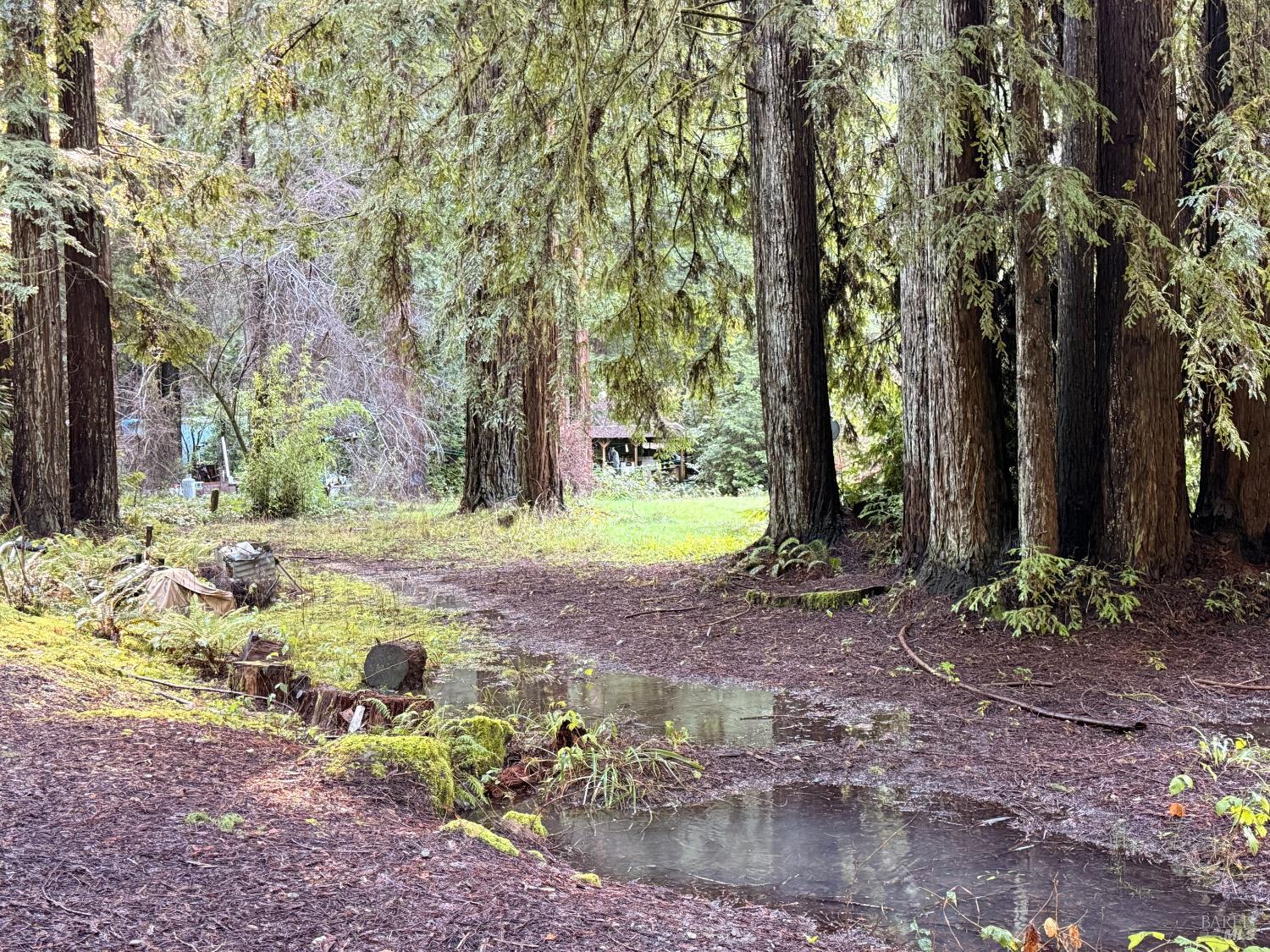 12701 Irmulco Road Willits, CA 95490 - Photo 21 of 24 a view of backyard of green space