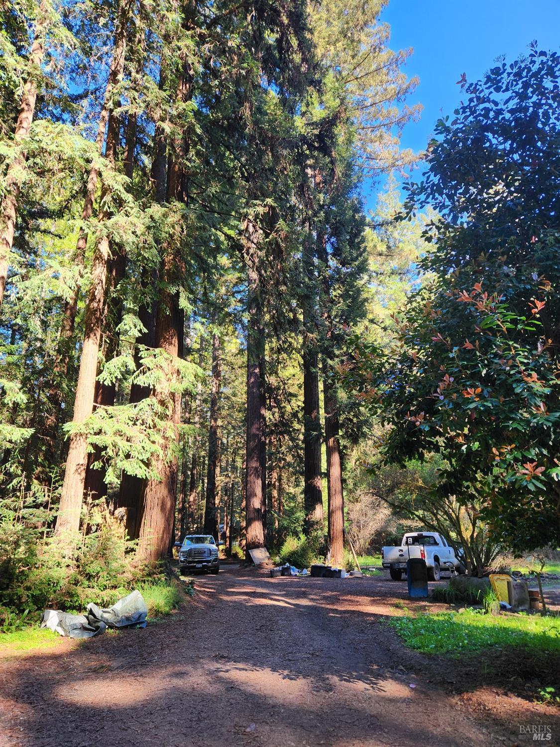 12701 Irmulco Road Willits, CA 95490 - Photo 8 of 18