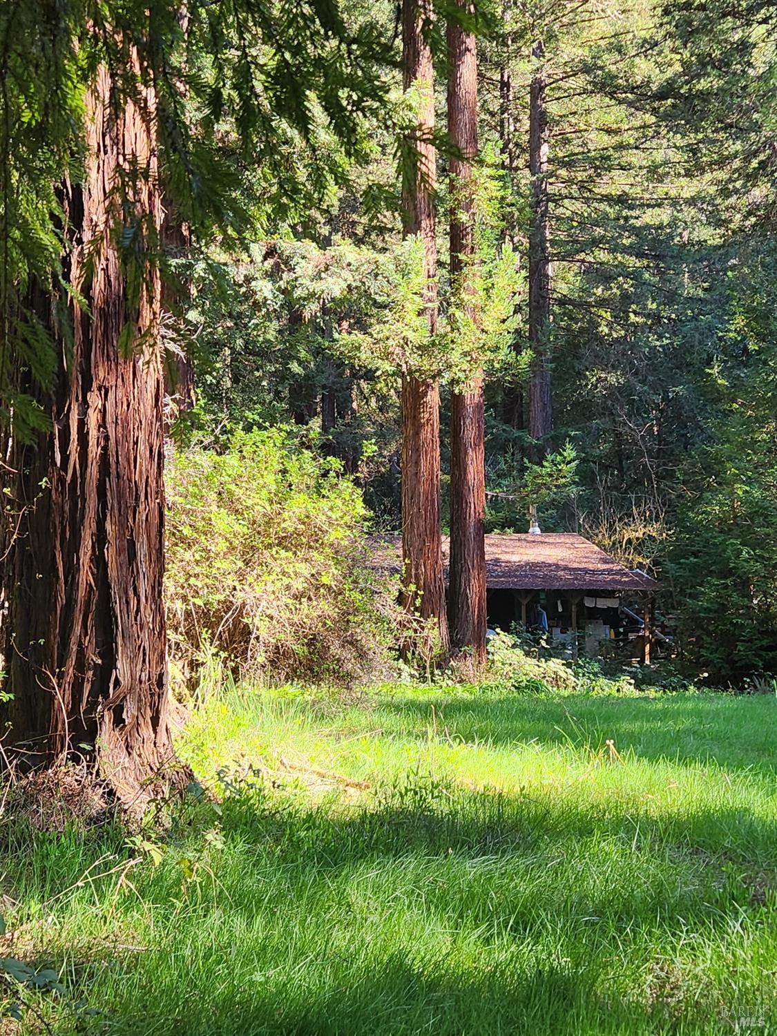 12701 Irmulco Road Willits, CA 95490 - Photo 9 of 18