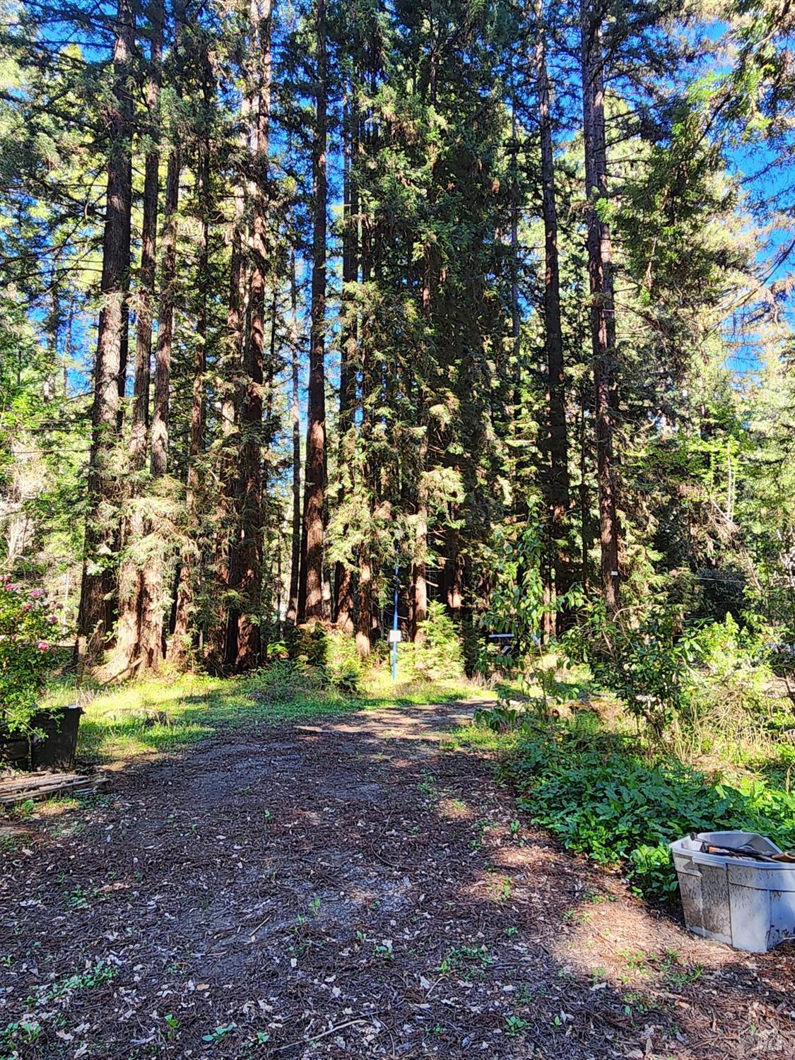 12701 Irmulco Road Willits, CA 95490 - Photo 10 of 18