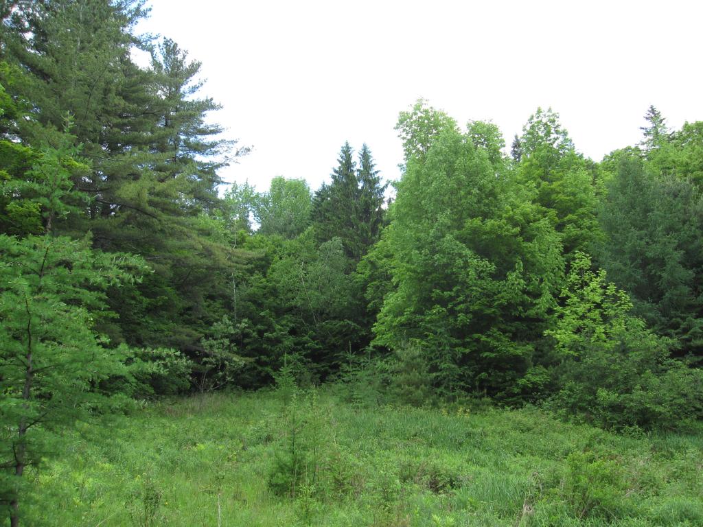 1110 Backway Road Corinth, VT 05039 - Photo 1 of 4