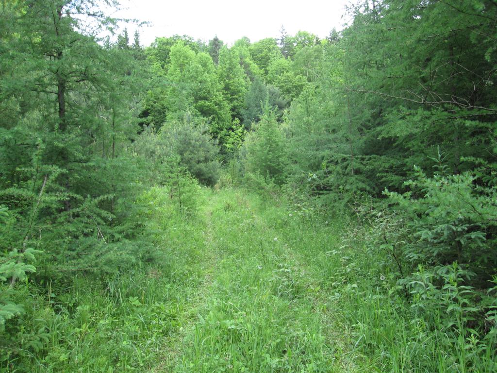 1110 Backway Road Corinth, VT 05039 - Photo 2 of 4