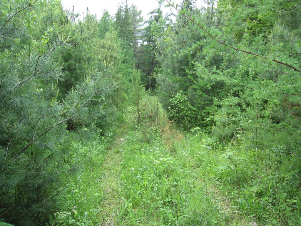 1110 Backway Road Corinth, VT 05039 - Photo 4 of 4
