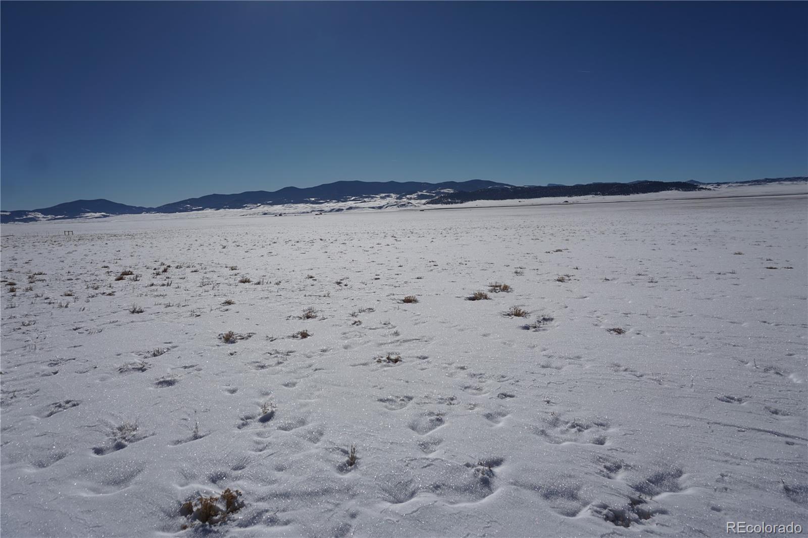 Stoll Mountain Rd Lake Lake George, CO 80827 - Photo 18 of 21 a view of ocean view with beach