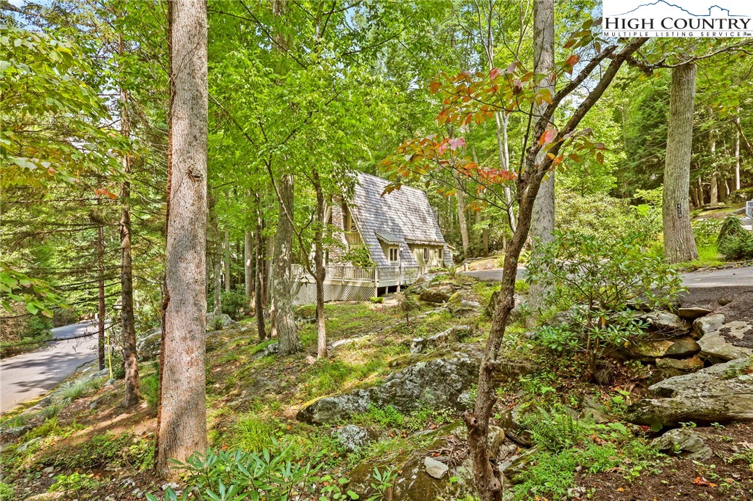 429 Cherry Lane Boone, NC 28607 - Photo 41 of 50